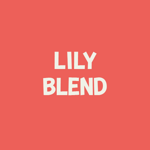 Lily Blend Lily & Willy's Coffee Co.